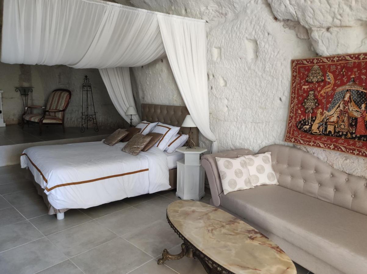 Le Manoir Des Roches Bed & Breakfast Bourre Exterior photo