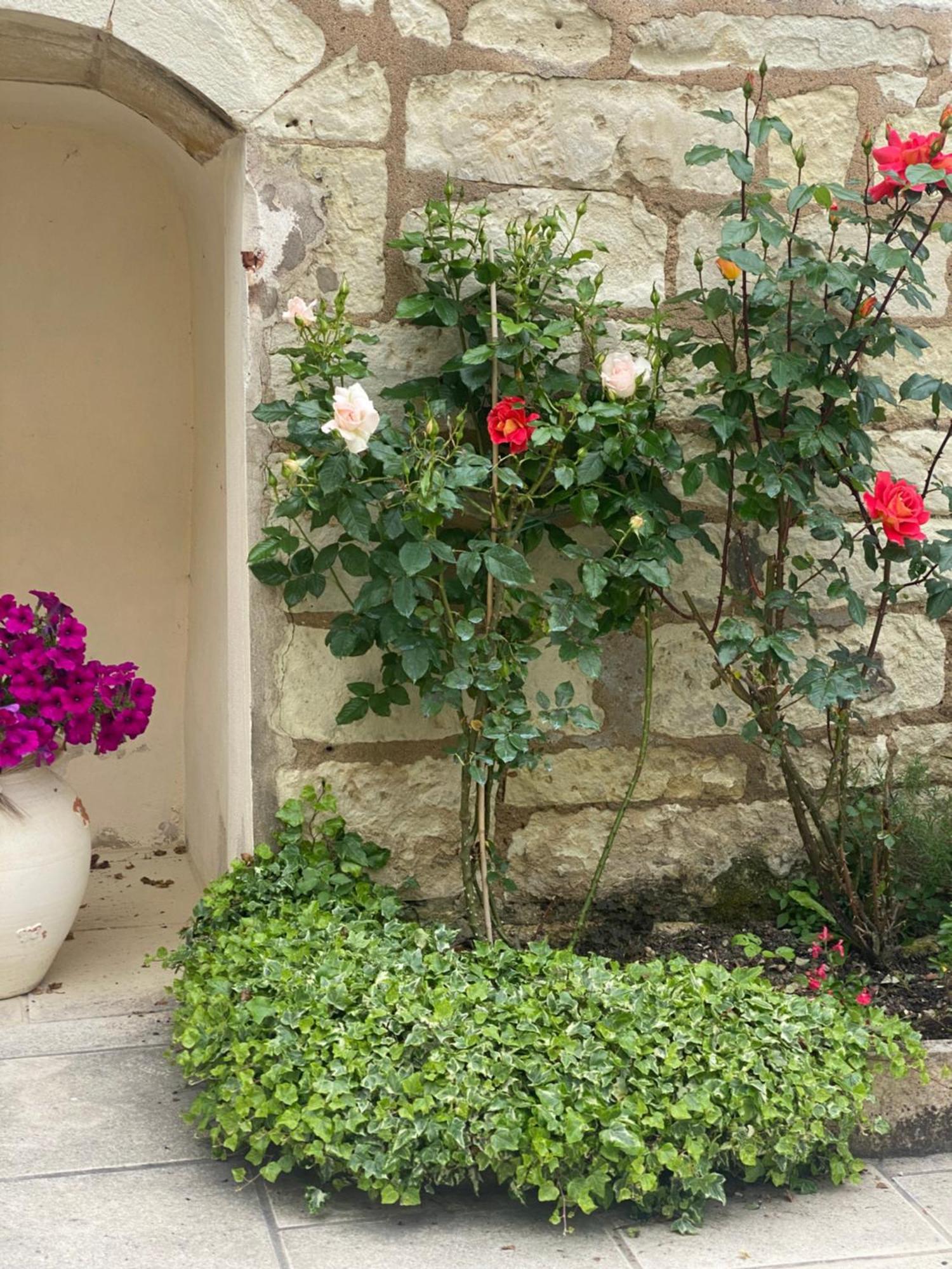 Le Manoir Des Roches Bed & Breakfast Bourre Exterior photo